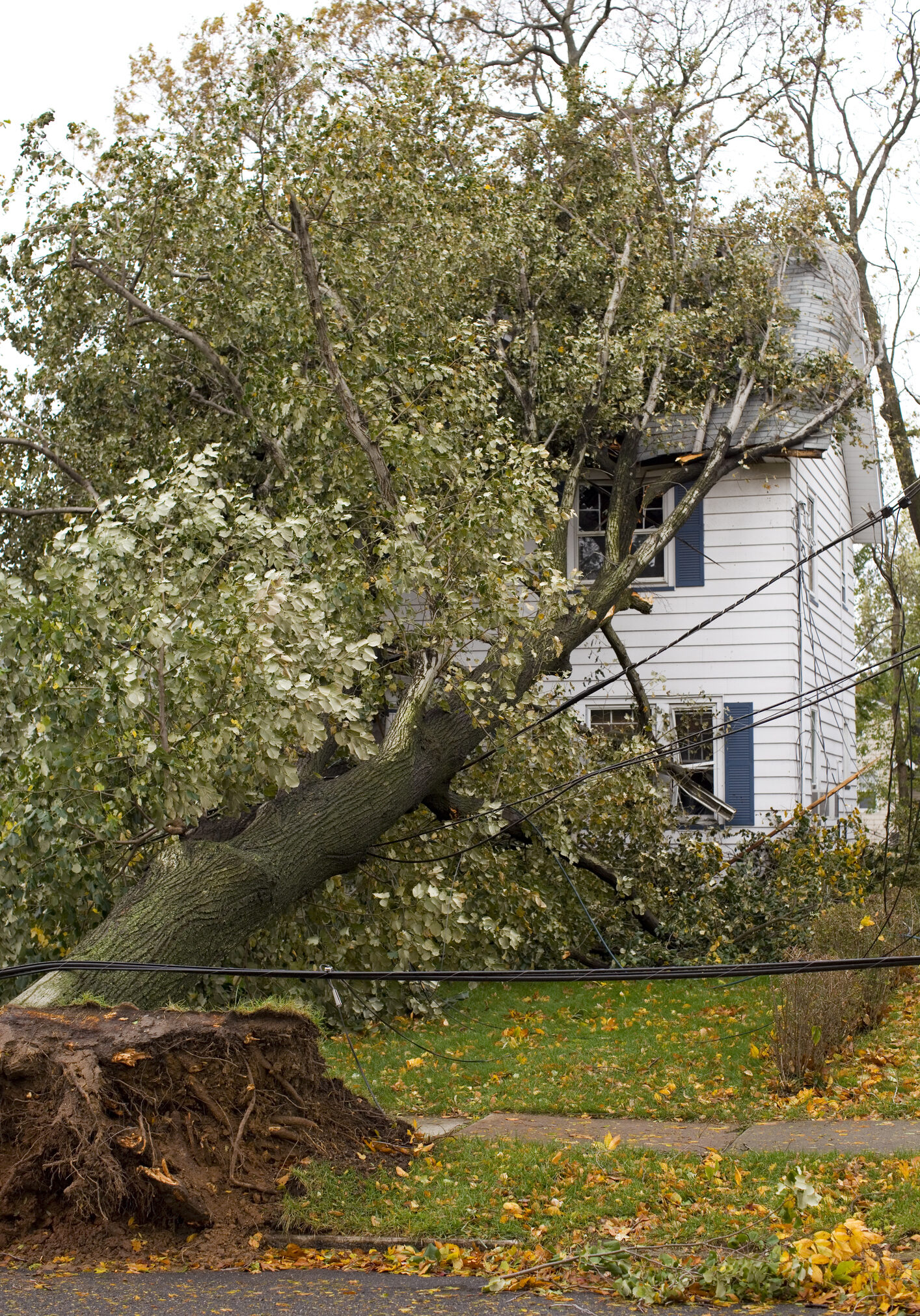 Home Insurance Concept. House Hit by a Fallen Tree with Downed Power Wires and No Electricity.